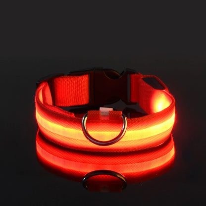 LED Night Safety Dog Collar & Leash – Glow-in-the-Dark Nylon for Visibility and Style