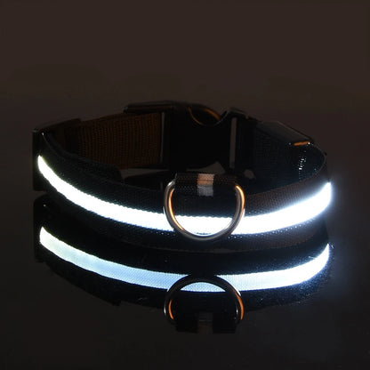 LED Night Safety Dog Collar & Leash – Glow-in-the-Dark Nylon for Visibility and Style