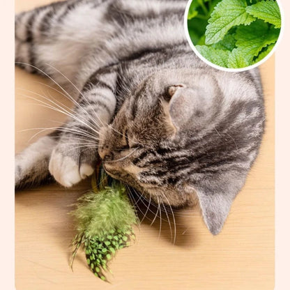Interactive Bird Cat Toy – Realistic Sounds & Catnip – Wall-Mountable for Indoor Fun and Feline Enrichment
