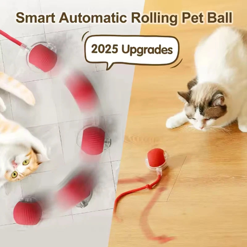 PawMotion – Smart Electric Rolling Ball Toy for Cats & Dogs