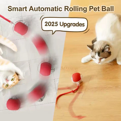 PawMotion – Smart Electric Rolling Ball Toy for Cats & Dogs