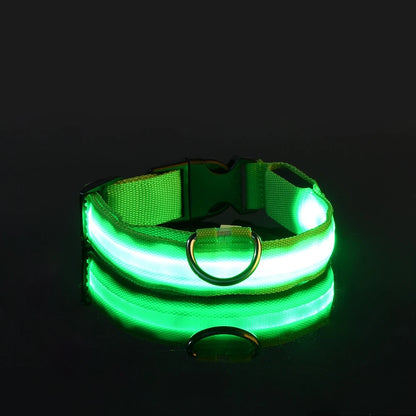 LED Night Safety Dog Collar & Leash – Glow-in-the-Dark Nylon for Visibility and Style