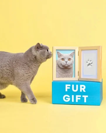 Paw Print Keepsake Kit – Eternal Memories of Your Pet