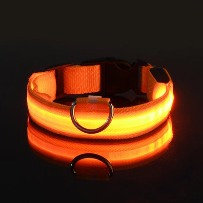 LED Night Safety Dog Collar & Leash – Glow-in-the-Dark Nylon for Visibility and Style