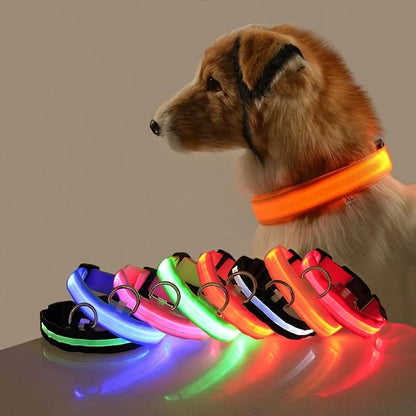LED Night Safety Dog Collar & Leash – Glow-in-the-Dark Nylon for Visibility and Style