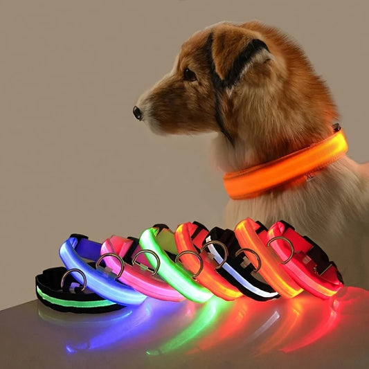 LED Night Safety Dog Collar & Leash – Glow-in-the-Dark Nylon for Visibility and Style