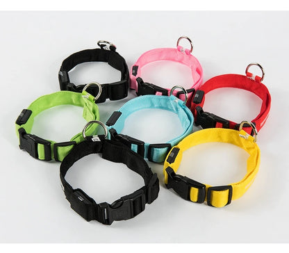 LED Night Safety Dog Collar & Leash – Glow-in-the-Dark Nylon for Visibility and Style
