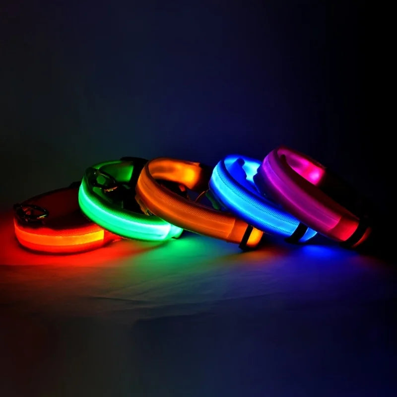 LED Night Safety Dog Collar & Leash – Glow-in-the-Dark Nylon for Visibility and Style