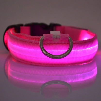 LED Night Safety Dog Collar & Leash – Glow-in-the-Dark Nylon for Visibility and Style