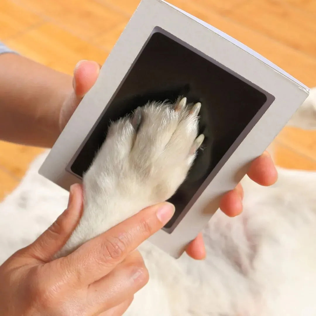Paw Print Keepsake Kit – Eternal Memories of Your Pet