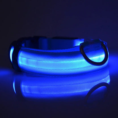 LED Night Safety Dog Collar & Leash – Glow-in-the-Dark Nylon for Visibility and Style