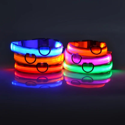 LED Night Safety Dog Collar & Leash – Glow-in-the-Dark Nylon for Visibility and Style