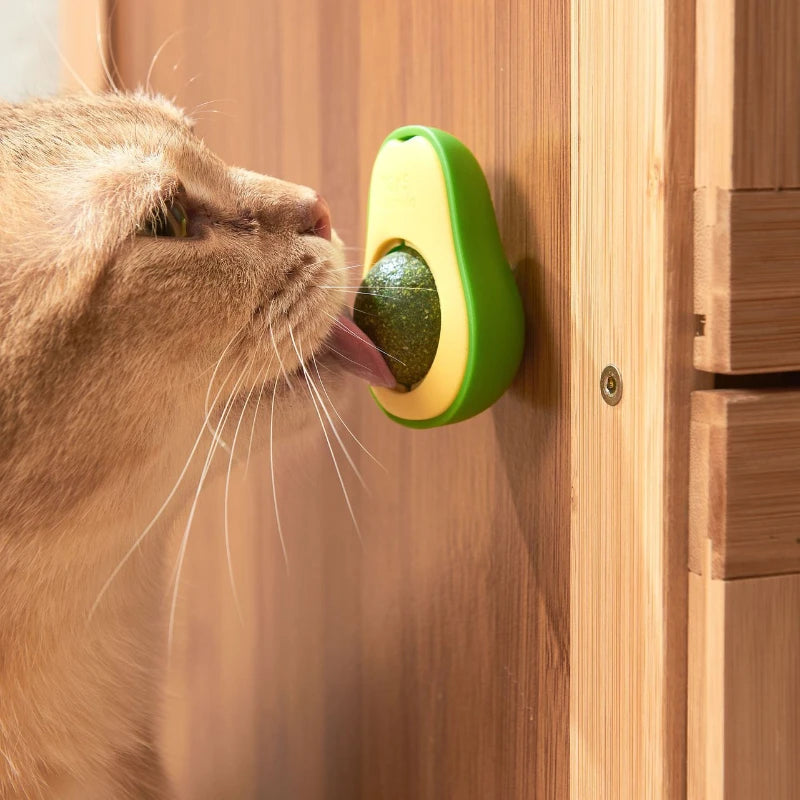 Catnip Wall Ball – The Rotating Catnip Toy That Keeps Your Cat Happy and Healthy!