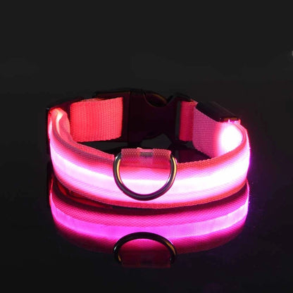 LED Night Safety Dog Collar & Leash – Glow-in-the-Dark Nylon for Visibility and Style