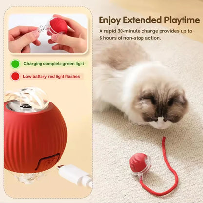 PawMotion – Smart Electric Rolling Ball Toy for Cats & Dogs