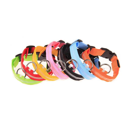 LED Night Safety Dog Collar & Leash – Glow-in-the-Dark Nylon for Visibility and Style