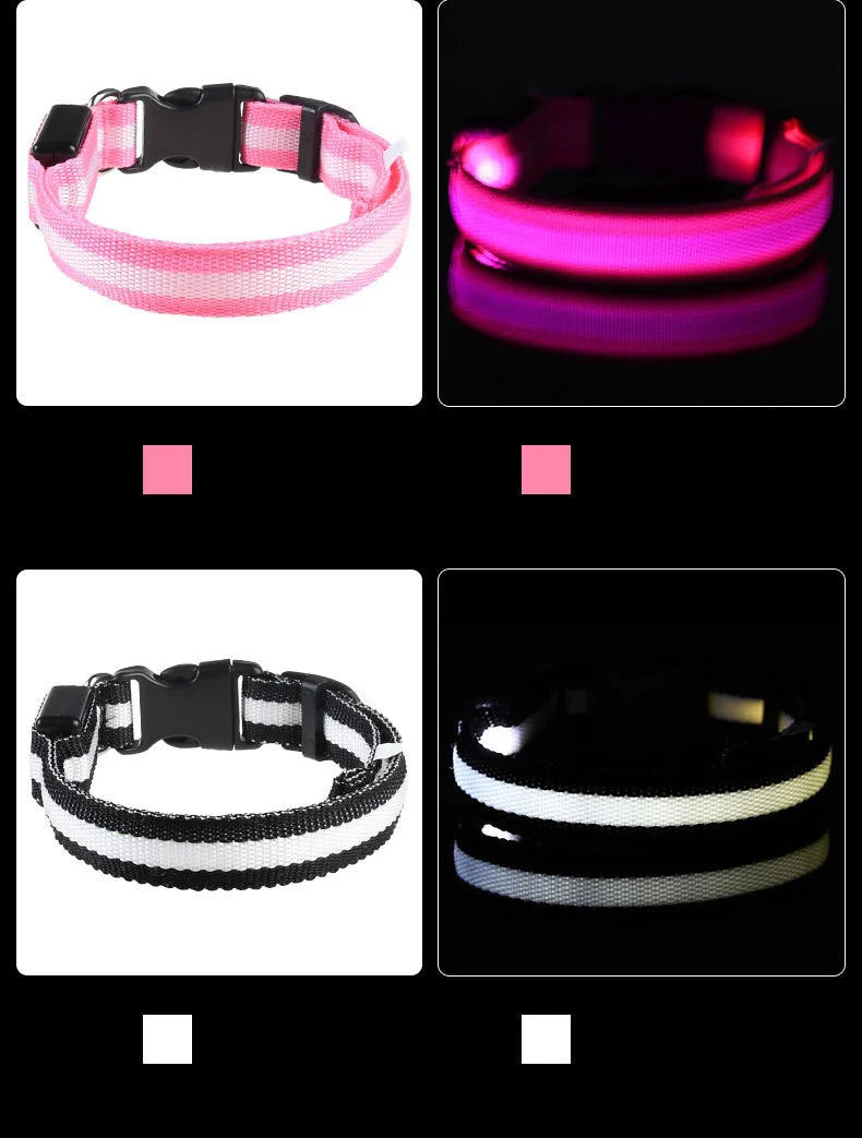LED Night Safety Dog Collar & Leash – Glow-in-the-Dark Nylon for Visibility and Style