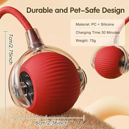 PawMotion – Smart Electric Rolling Ball Toy for Cats & Dogs