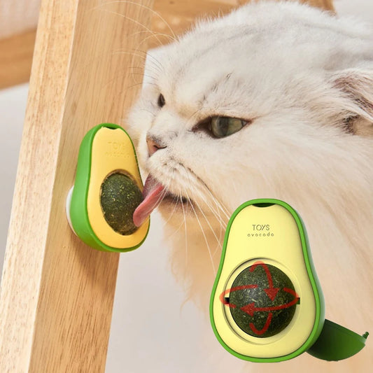 Catnip Wall Ball – The Rotating Catnip Toy That Keeps Your Cat Happy and Healthy!