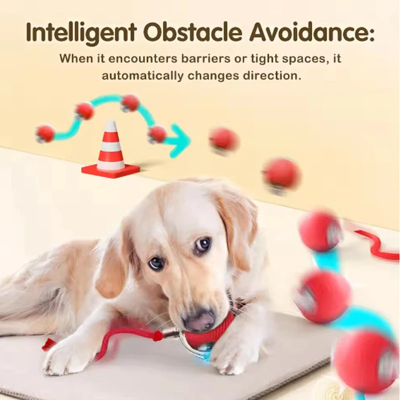 PawMotion – Smart Electric Rolling Ball Toy for Cats & Dogs