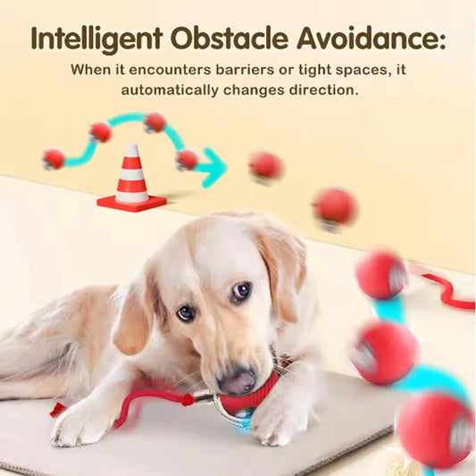 PawMotion – Smart Electric Rolling Ball Toy for Cats & Dogs