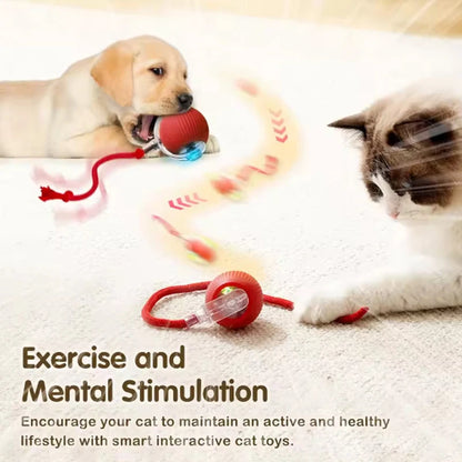 PawMotion – Smart Electric Rolling Ball Toy for Cats & Dogs