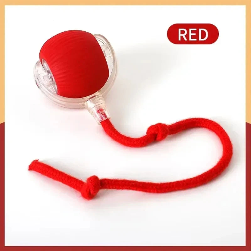 PawMotion – Smart Electric Rolling Ball Toy for Cats & Dogs