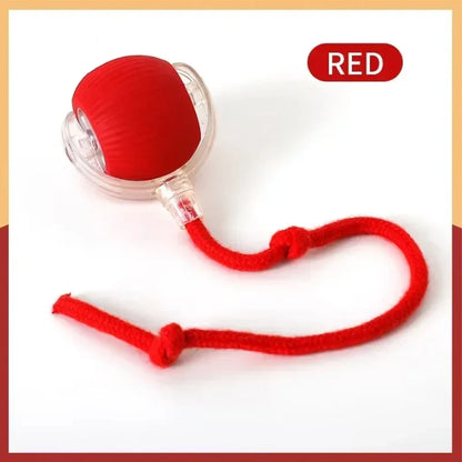 PawMotion – Smart Electric Rolling Ball Toy for Cats & Dogs