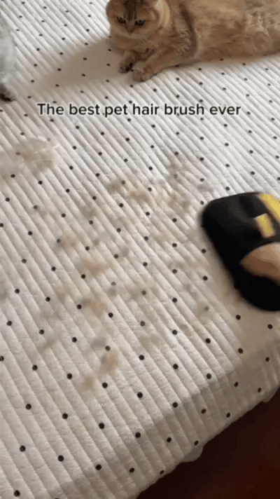 Say Goodbye to Pet Hair Around the House with the Electrostatic Hair Removal Glove – Quick, Effortless, and Mess-Free Cleaning!