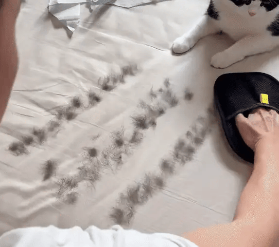 Say Goodbye to Pet Hair Around the House with the Electrostatic Hair Removal Glove – Quick, Effortless, and Mess-Free Cleaning!