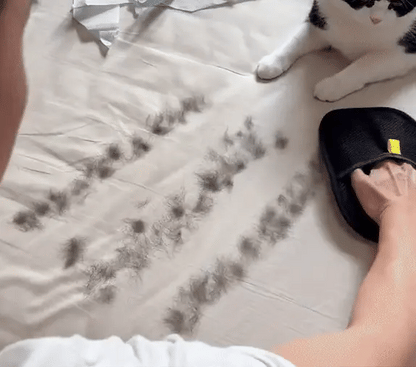 Say Goodbye to Pet Hair Around the House with the Electrostatic Hair Removal Glove – Quick, Effortless, and Mess-Free Cleaning!