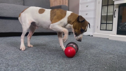 Super Ball – The Interactive Treat Toy That Keeps Your Pet Engaged for Hours!